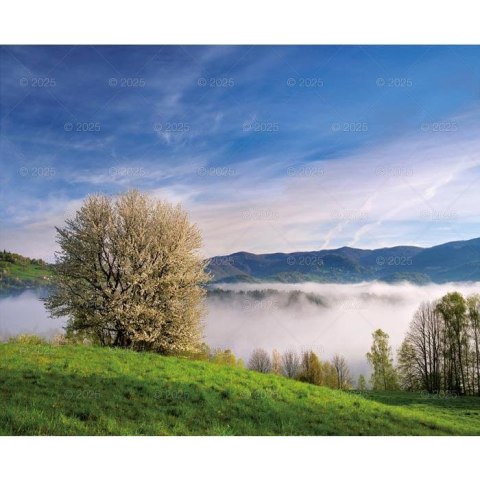 Kalendarz ścienny PEJZAŻE POLSKIE WIELOPLANSZOWY 12K 320mm x 470mm Lucrum (RW1) Lucrum