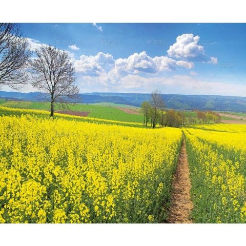 Kalendarz ścienny PEJZAŻE POLSKIE WIELOPLANSZOWY 12K 320mm x 470mm Lucrum (RW1) Lucrum