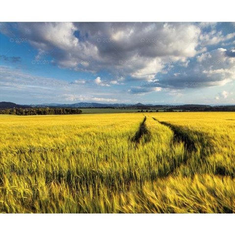 Kalendarz ścienny PEJZAŻE POLSKIE WIELOPLANSZOWY 12K 320mm x 470mm Lucrum (RW1) Lucrum