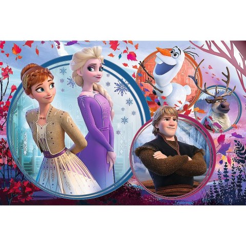 Puzzle Disney Frozen Ii Siostrzana przygoda 160 el. Trefl (15374) Trefl