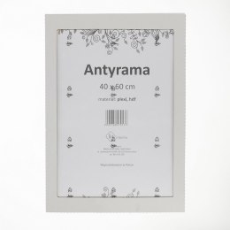 Antyrama M-interio plexi plexi [mm:] 400x600 (AR40x60) M-interio