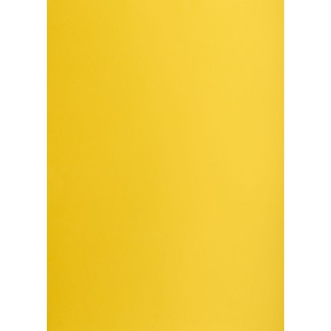 Brystol żółty ciemny B1 żółty 225g 1k Creatinio (400150257) Creatinio