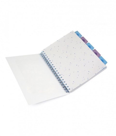 Kołobrulion Disney B5 100k. 80g krata Patio (74999PTR) Patio