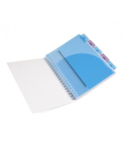 Kołobrulion Disney B5 100k. 80g krata Patio (74999PTR) Patio