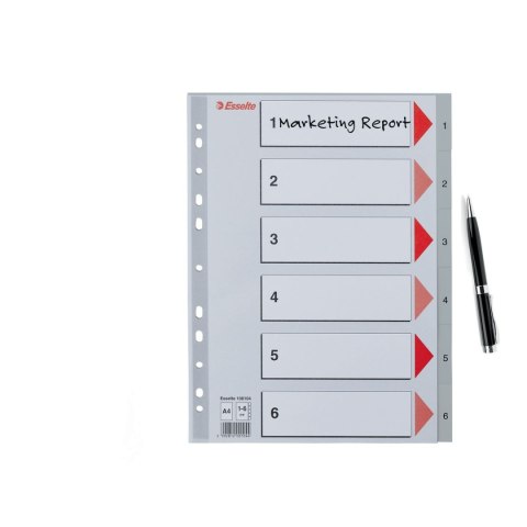 Przekładka numeryczna A4 szara 6k 1-6 Esselte (100104) Esselte
