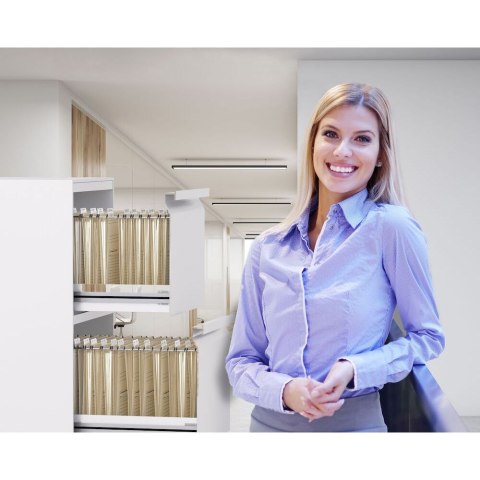 Teczka zawieszkowa A4 brązowy papier [mm:] 262x350 Elba (100081040) Elba