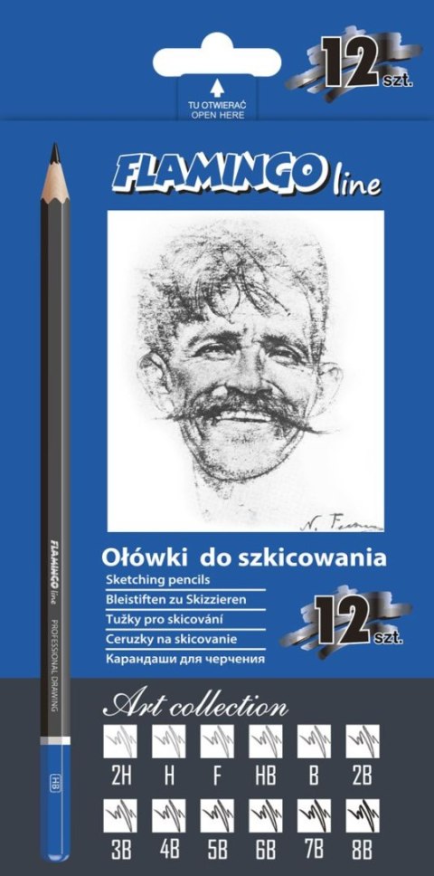 Ołówki techniczne Art Flamingo Line 8B-2H 12szt. Flamingo