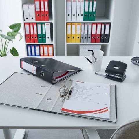 Segregator dźwigniowy Ekonomiczny A4 75mm zielony Esselte (11256) Esselte