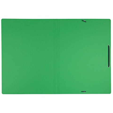 Teczka kartonowa na gumkę recycle A4 zielona 430g Leitz (39080055) Leitz