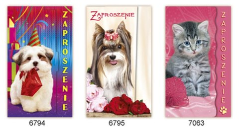 Zaproszenie Duże Zoo Merigraf Merigraf