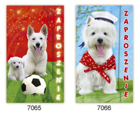 Zaproszenie Duże Zoo Merigraf Merigraf