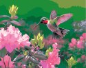 Zestaw kreatywny Malowanie po numerach 40x50cm Koliber Flamingo Line (FSY213) Flamingo Line