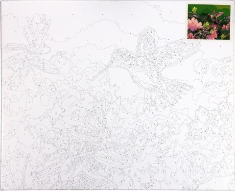 Zestaw kreatywny Malowanie po numerach 40x50cm Koliber Flamingo Line (FSY213) Flamingo Line