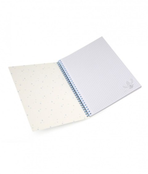 Kołobrulion Disney B5 100k. 80g krata Patio (75002PTR) Patio