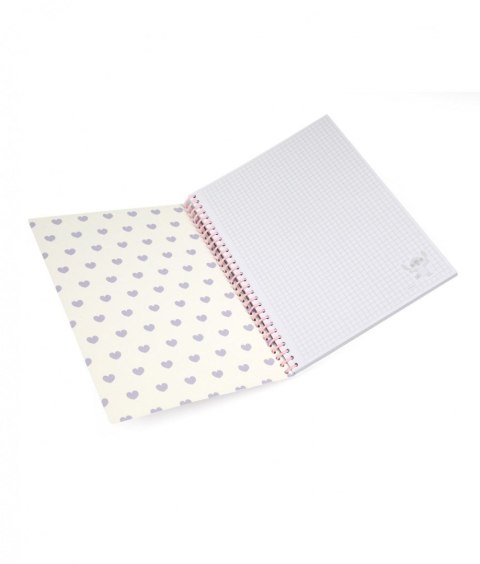 Kołobrulion Disney B5 100k. 80g krata Patio (75026PTR) Patio