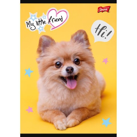 Zeszyt MY LITTLE FRIEND A5 32k. podwójna linia kolor Unipap Unipap