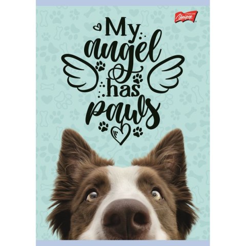 Zeszyt dog A5 16k. krata Unipap Unipap