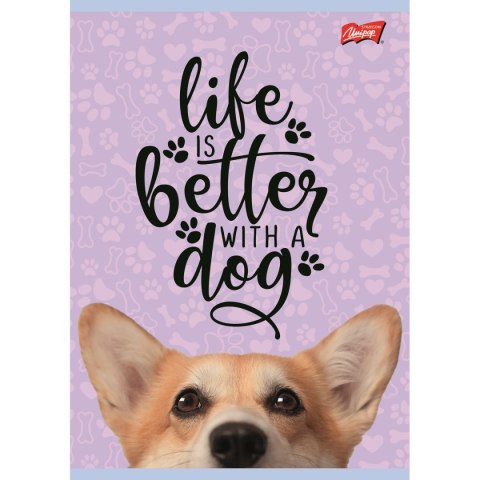 Zeszyt dog A5 16k. krata Unipap Unipap