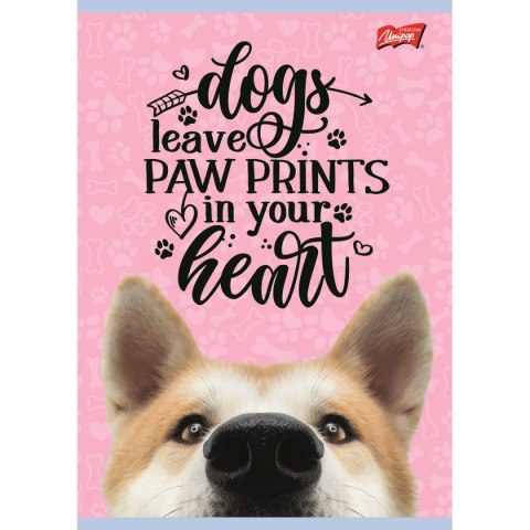 Zeszyt dog A5 16k. krata Unipap Unipap