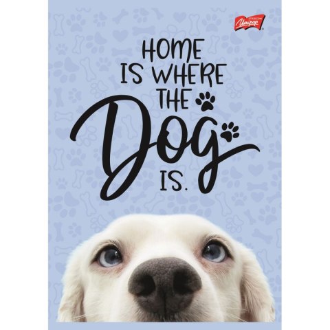 Zeszyt dog A5 16k. krata Unipap Unipap