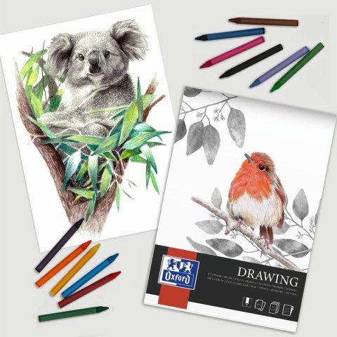 Blok artystyczny RYSUNKOWY A4 160g 40k Oxford (400166107) Oxford