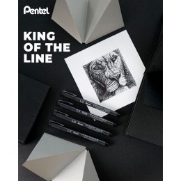 Cienkopis Pentel POINTLINER, czarne mixmm 1kol. (XBLW355C) Pentel