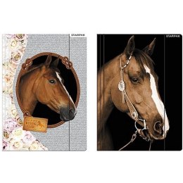 Teczka kartonowa na gumkę horses A4 mix Starpak (298952) Starpak