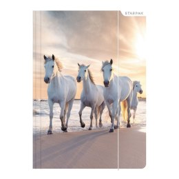 Teczka kartonowa na gumkę horses A4 mix Starpak (298952) Starpak