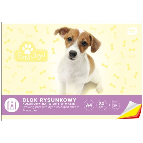 Blok rysunkowy bloki A4 kolorowy 80g 20k [mm:] 210x297 Interdruk (BLRK) Interdruk