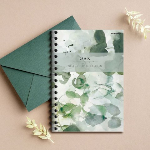 Kołozeszyt (kołonotatnik) SHADES B5 120k. 70g krata TOP-2000 (400158939) TOP-2000