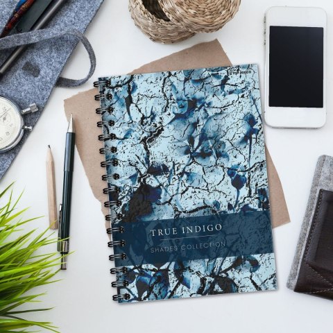 Kołozeszyt (kołonotatnik) SHADES B5 120k. 70g krata TOP-2000 (400158939) TOP-2000