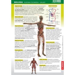 Książeczka edukacyjna Demart Ściągawka - Biologia - człowiek (układy) Demart