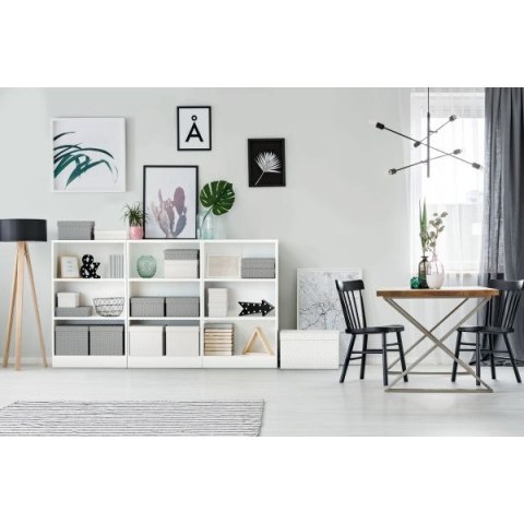 Pudło archiwizacyjne Home rozm. L szare karton [mm:] 355x510x 305 Esselte (628287) Esselte