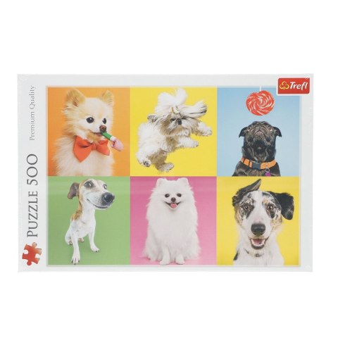 Puzzle Psy 500 el. Trefl (37378) Trefl