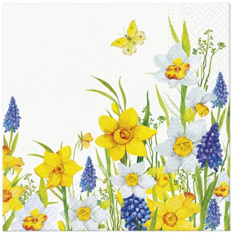 Serwetki Tete Spring Daffodills mix nadruk bibuła [mm:] 330x330 Paw (TL122600) Paw