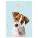 Zeszyt Interdruk Puppy Sign A5 16k. 70g krata [mm:] 148x210 (ZE16#PS) Interdruk