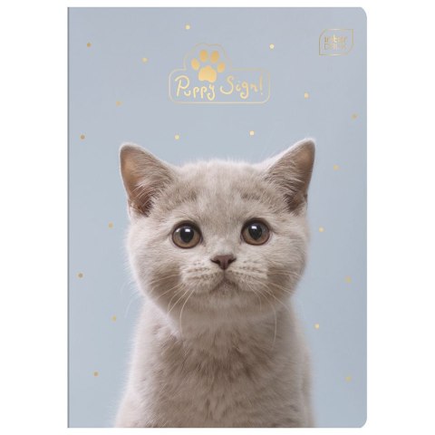 Zeszyt A5 Puppy Sign 16k. 70g krata [mm:] 148x210 Interdruk (ZE16#PS) Interdruk