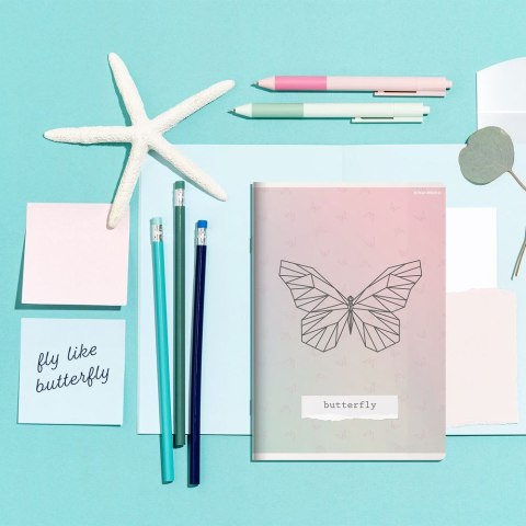 Zeszyt Linea A5 16k. 70g krata [mm:] 150x210 TOP-2000 (400159966) TOP-2000