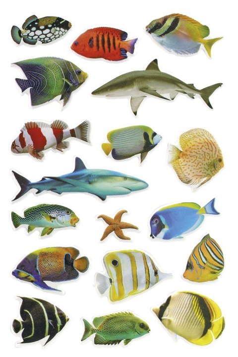 Naklejka (nalepka) Craft-Fun Series Ryby Titanum (PPT04) Titanum