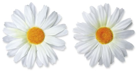 Ozdoba materiałowa Craft-Fun Series margerytki 4 szt. Titanum (D-TZW-230605B) Titanum