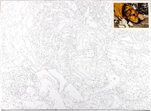 Zestaw kreatywny Malowanie po numerach 30x40cm Pies i koty Flamingo Line (FC165) Flamingo Line