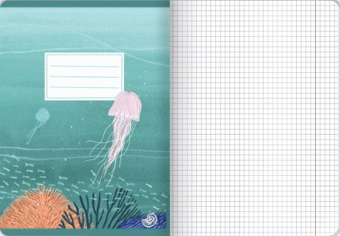 Zeszyt OCEAN A5 32k. 70g krata Top 2000 (400182343) Top 2000