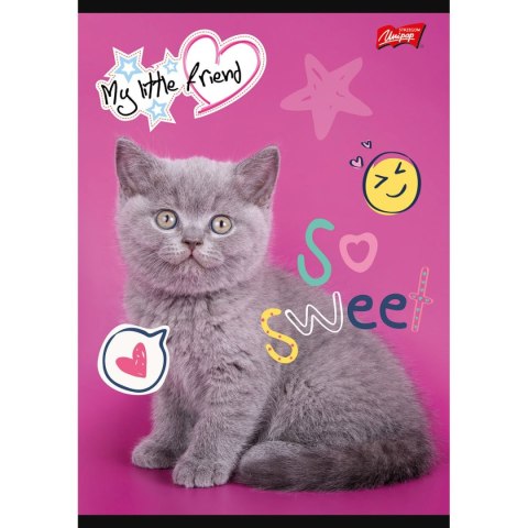 Zeszyt MY LITTLE FRIEND A5 32k. krata Unipap Unipap