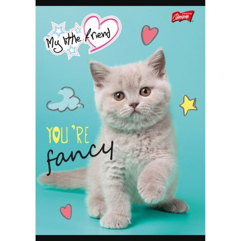 Zeszyt MY LITTLE FRIEND A5 32k. krata Unipap Unipap