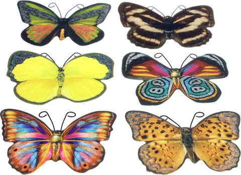 Naklejka (nalepka) Craft-Fun Series motyle Titanum (22LJ0828-5/A) Titanum