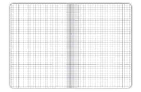 Zeszyt UNNATURAL LANDSCAPE A5 32k. 70g krata Top 2000 (400181615) Top 2000