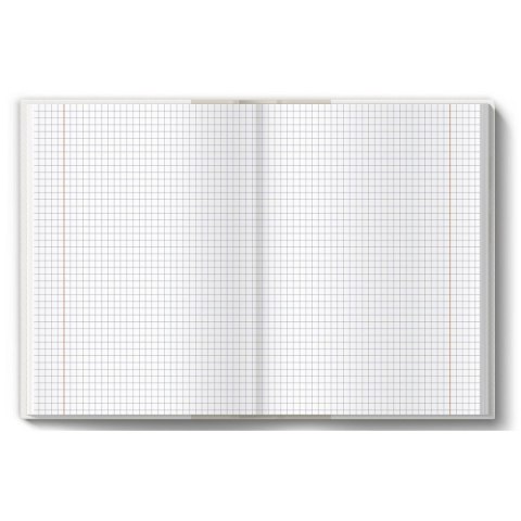 Brulion tematyczny fizyka A5 80k. 70g krata [mm:] 150x210 TOP-2000 (400160623) TOP-2000