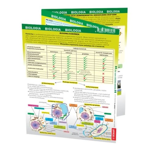 Książeczka edukacyjna maxi ściąga Biologia Demart Demart