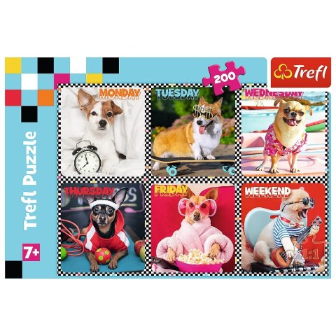 Puzzle 200 el. Trefl (113279) Trefl