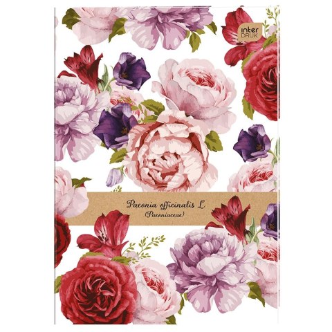 Zeszyt TRENDS Girls A4 60k. 70g krata Interdruk (ZEA460#409) Interdruk